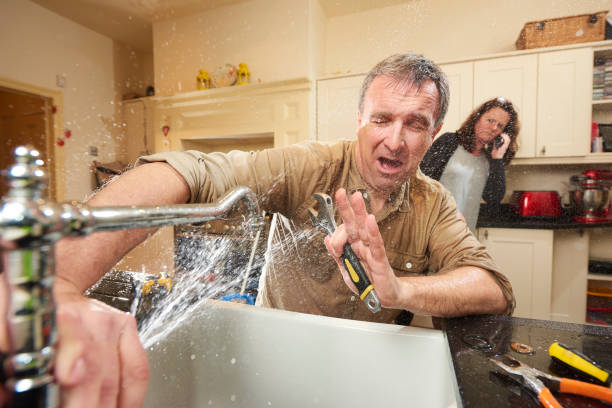 Best Professional water damage repair  in USA